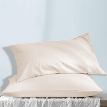 (Cream) 2 X Pillowcase Luxury Housewife Soft Pillow Covers