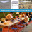 Bowose 90cm x 60cm Folding Camping Picnic Table Adjustable 7