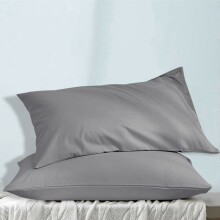 (Silver) 2 X Pillowcase Luxury Housewife Soft Pillow Covers