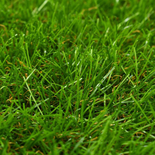 VidaXL vidaXL Kunstrasen 1x15 m/30 mm Grün 1
