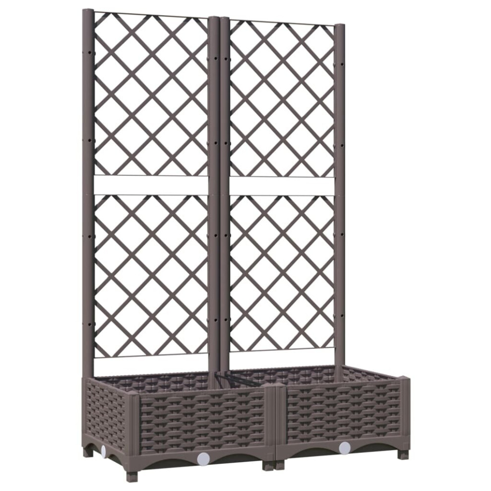 vidaXL Garden Planter with Trellis Brown PP Outdoor Raised Bed Flower Box