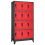 VidaXL vidaXL Locker Cabinet Anthracite and Red Steel Office Storage Cabinet Locker 1