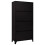 VidaXL vidaXL Locker Cabinet Black Steel Office Indoor Storage Filing Cabinet Locker 5