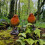 Selections Robin on a Tree Stump Garden Ornament (Set of 2) 6