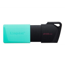 USB-geheugen - KINGSTON - Dtexodia M Bk - 256 Go - USB 3.2 - Zwart