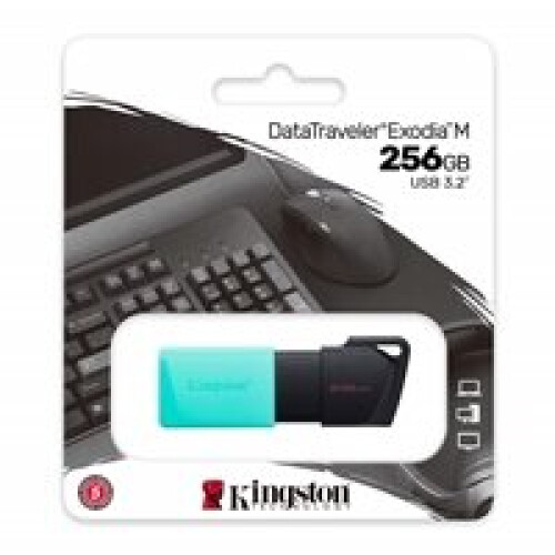 Kingston Memoria USB - KINGSTON - Dtexodia M Bk - 256 Go - USB 3.2 - Nero 2