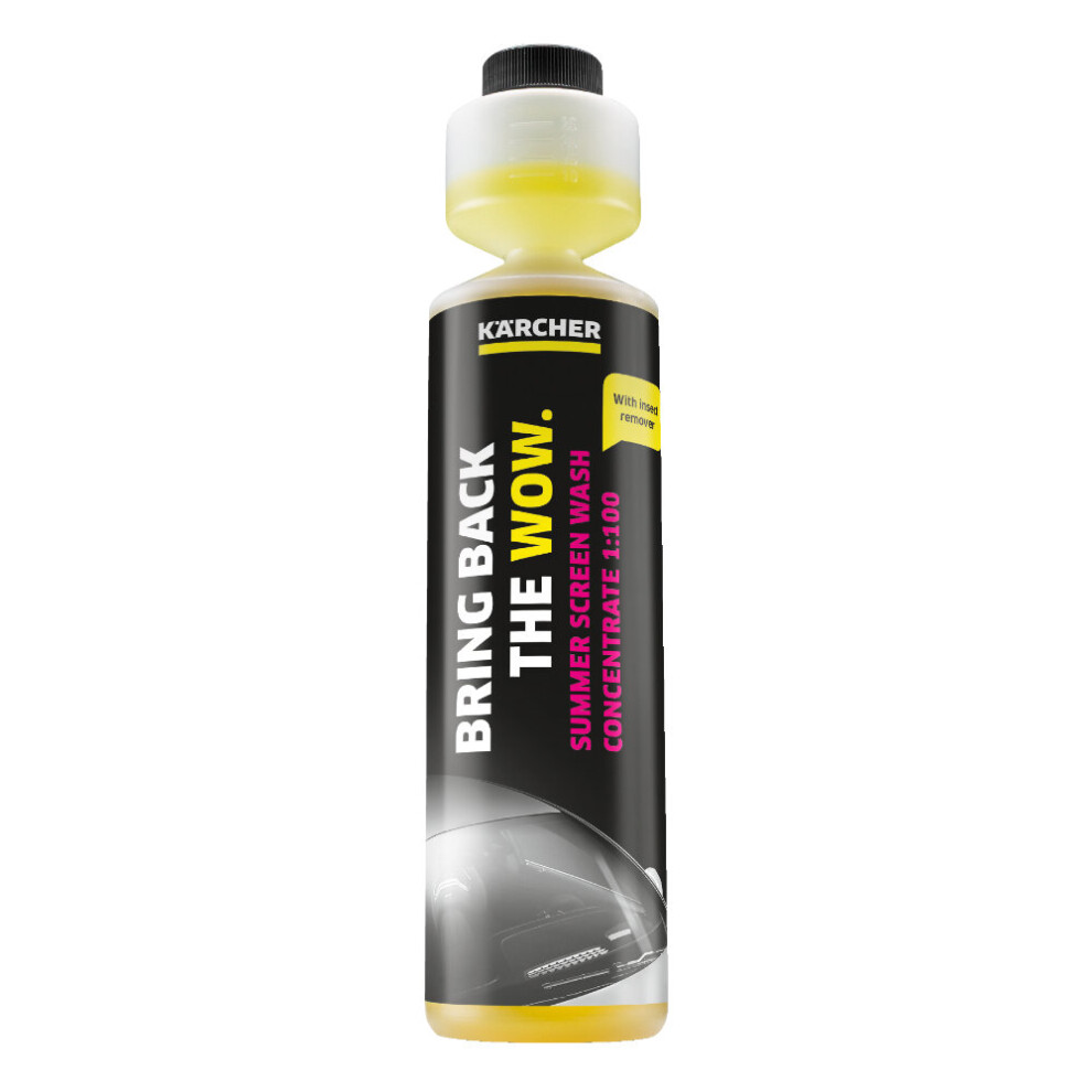 Karcher RM 672 Summer Windshield Cleaner Concentrate 6.296-110.0