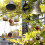 Wind Chimes Μεγάλα χάλκινα κουδούνια που κρέμονται Κήπος αυλή Home Decor Εξωτερική 4