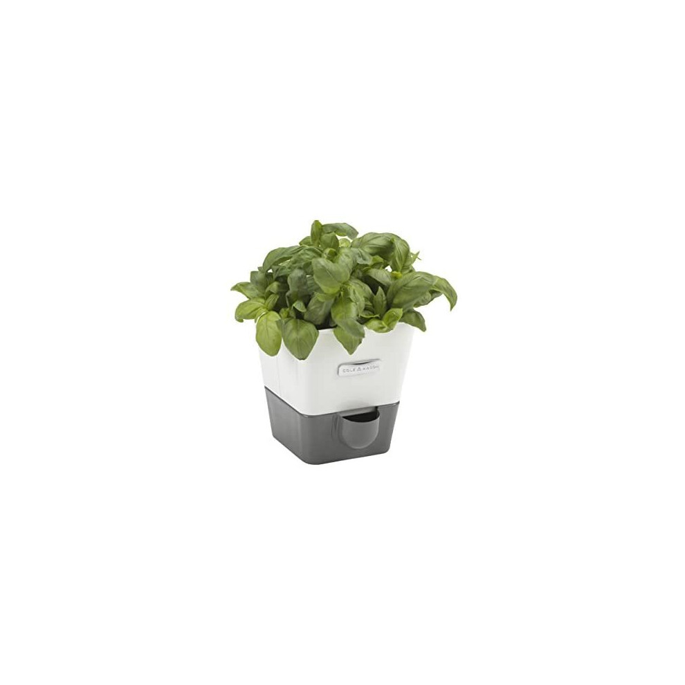 Cole & Mason H105249 Burwell Self-Watering Potted Herb Saver | Windowsill Herb Planter Indoor/Herb Box/Indoor Herb Garden | Single | Suitable for