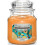 Yankee Candle Yankee Candle Home Inspiration Medium Jar Tropical Fruit Punch 1