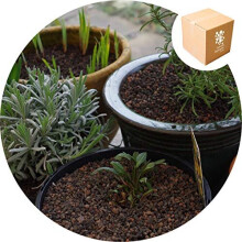 Specialist Aggregates  - Ultralite - Lightweight Horticultural Grit - 50L, Cacti, Alpines, Lavender, Terrariums, Bottle Gardens, Vivariums