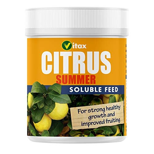 Vitax Vitax 200g Citrus Feed for Summer