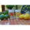 Vitax Vitax 200g Citrus Feed for Summer 2