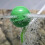 JBL JBL Ventilation Kit for Garden Pond Pond Oxi Set 6