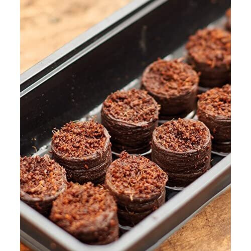 Gardman Grow It 08636 50 Peat Free Compost Discs 2