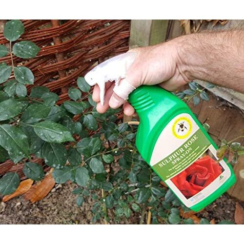 Sulphur Rose RTU 1 litre 1