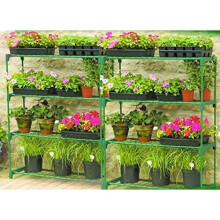 Panana 4-Tire Garden Greenhouse Staging Storage Shelving-Double Pack