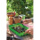 Gardman Grow It 08636 50 Peat Free Compost Discs 2