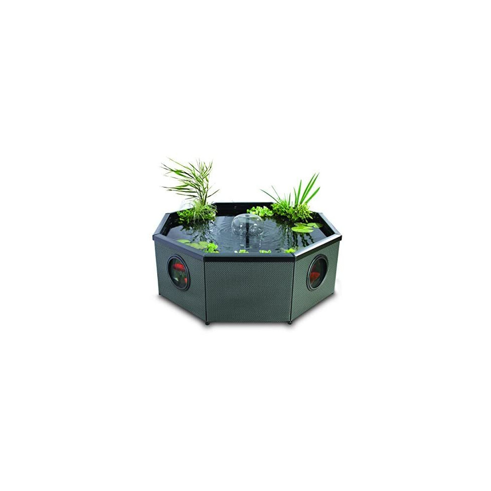 Blagdon Affinity Living Water Feature Pool, Grand Octagon Mocha Weave, Comes with Inpond 5-in-1 3000 Filter Pump with UV Clarifier, LED Spotlight