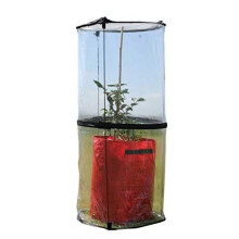 Haxnicks Pop-Up Tomato Cloche | Tomato Plant Protection Against Blight Slugs Harsh Weather | Transparent, 50 x 50 x 110 cm | Cloche010101