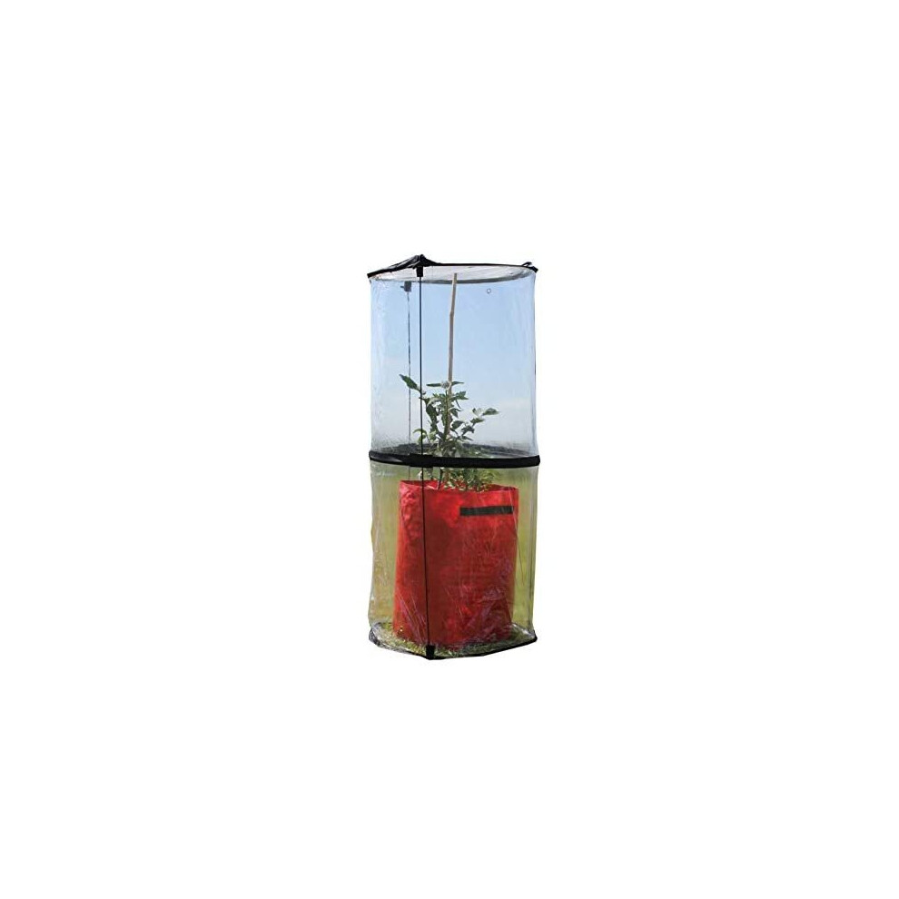 Haxnicks Pop-Up Tomato Cloche | Tomato Plant Protection Against Blight Slugs Harsh Weather | Transparent, 50 X 50 X 110 Cm | Cloche010101