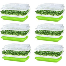 KAHEIGN 6Pcs Seed Sprouting Trays with Lid, 32cm x 26cm Large Capacity Germination Tray BPA Free Healthy Hydroponic Propagator with 24Pcs Plantin