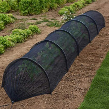 Thompson & Morgan Greenhouse Net Grow Tunnel Plant Protection from Pests & the Elements Ensuring High Yield 1 x Tunnel with Dimensions of 300 x 4