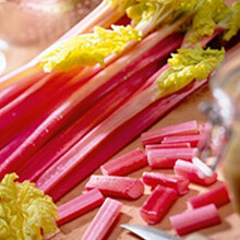 6 Rhubarb 'Victoria' Medium Plug Plants - Hardy Perennial