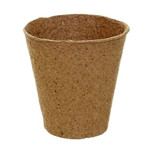 Dehner Growing Pots for Plants, round, Diameter 8 cm, Pack of 48 2