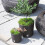 Prosperplast Prosperplast Plastic anthracite grey round low flower pot 40 cm Rato with inner liner 3