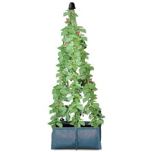 Haxnicks Pea And Bean Garden Planter | Perfect Grow Bag For Growing Climbing Vegetable Plants | Runner Beans, Climbing Beans, Sweet Peas, Peas 60