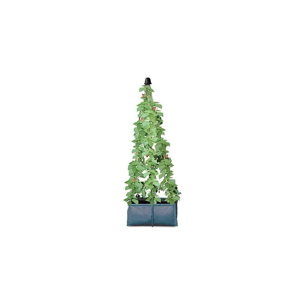 Haxnicks Pea And Bean Garden Planter | Perfect Grow Bag For Growing Climbing Vegetable Plants | Runner Beans, Climbing Beans, Sweet Peas, Peas 60 Blue