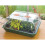 Sankey Grostart Unheated Propagator 52cm 2