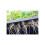 X-Stream 20 Plant Aeroponic Propagator 6