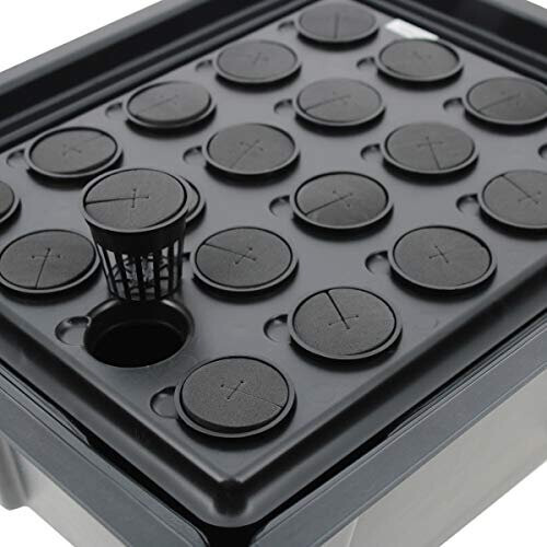 X-Stream 20 Plant Aeroponic Propagator 1