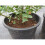 Fertile Fibre Organic Peat Free Multipurpose Compost 60 Litres 2