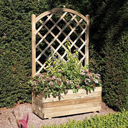 Rowlinson Rowlinson Rectangular Planter and Lattice