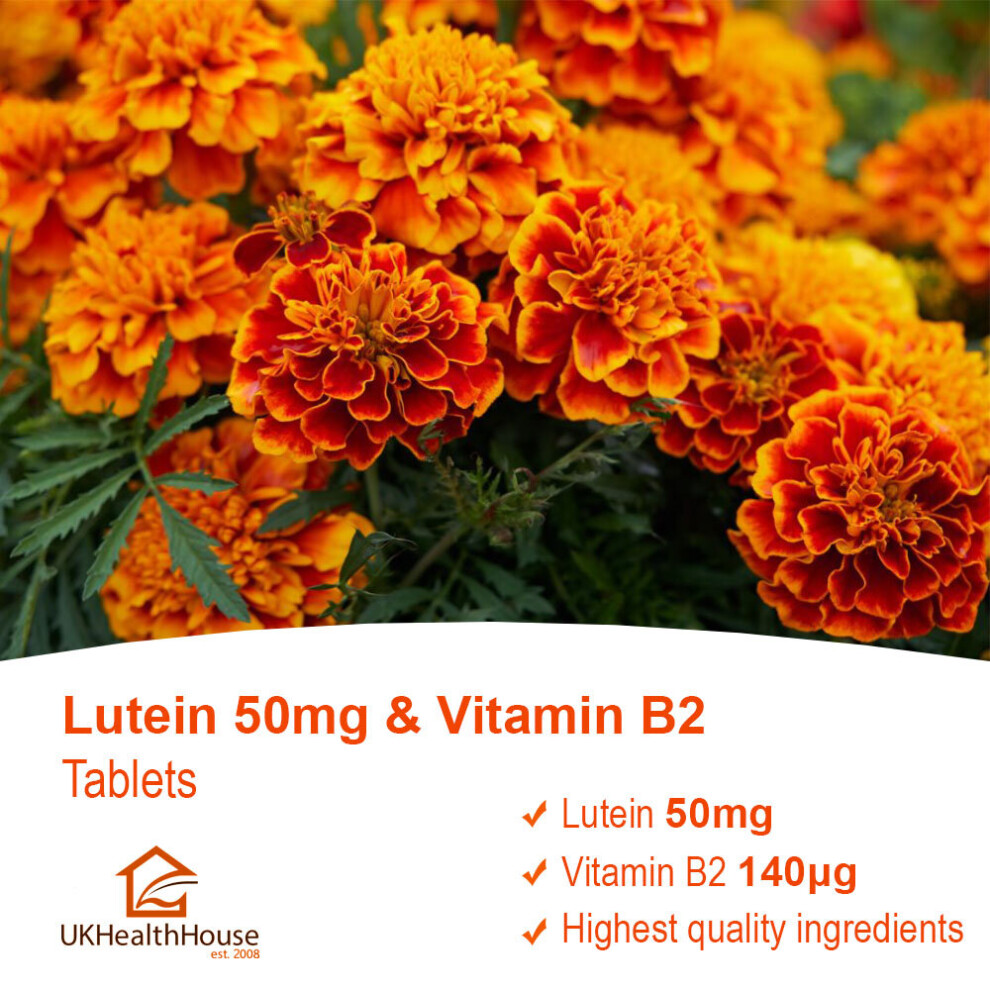 Lutein 50mg & Vitamin B2 x 240 Tablets Vision Care Eye Health