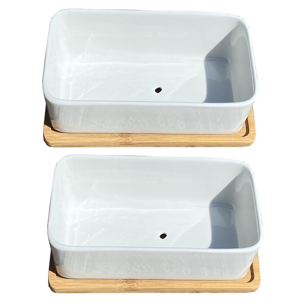 White Succulent and Cactus Trough Plant Pots (Set of 2)