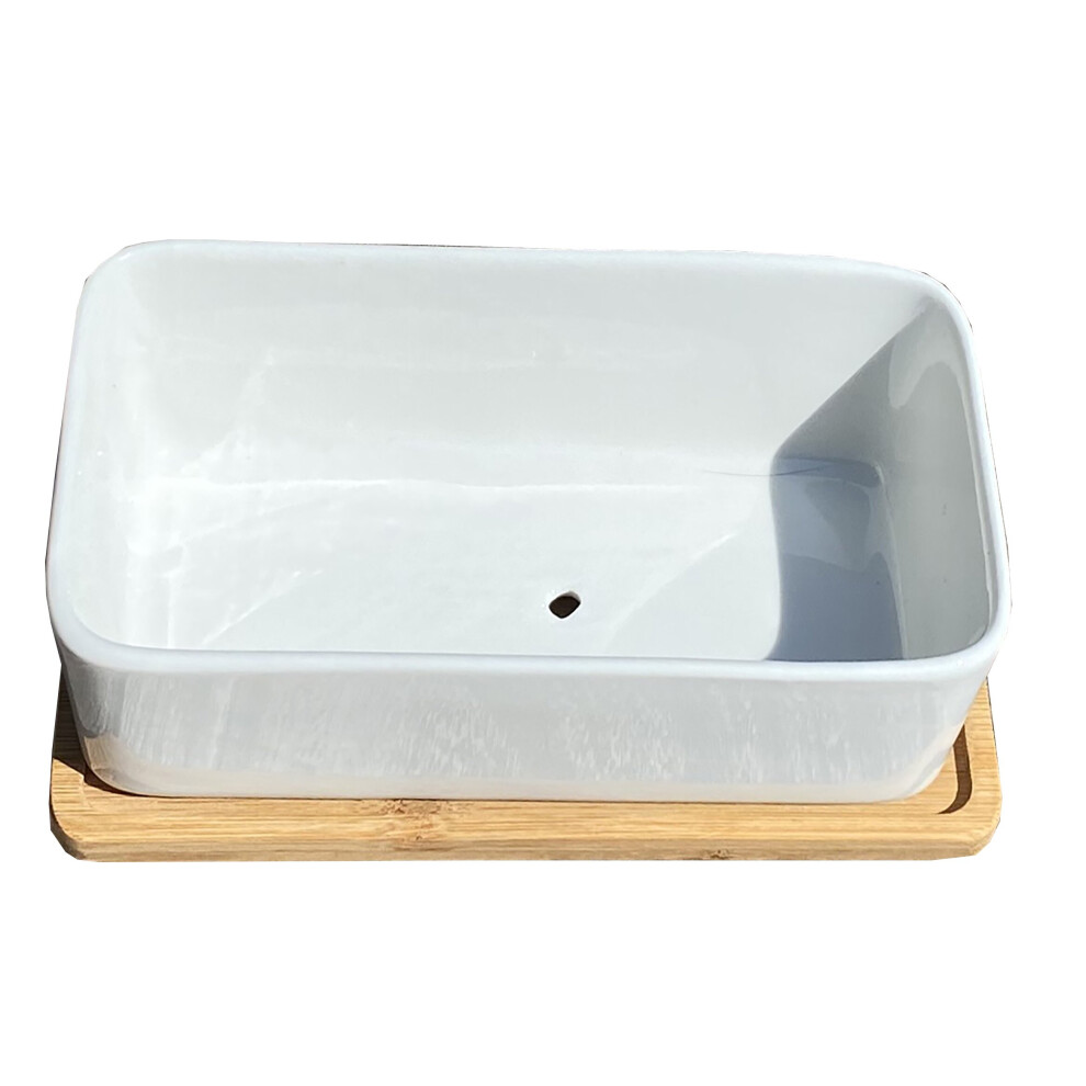 White Succulent and Cactus Trough Garden Plant Pot