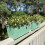 Selections Sage Green Balcony Hanging Planters (Set of 2) 7