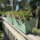 Selections Sage Green Balcony Hanging Planters (Set of 2) 5