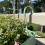 Selections Sage Green Balcony Hanging Planters (Set of 2) 4