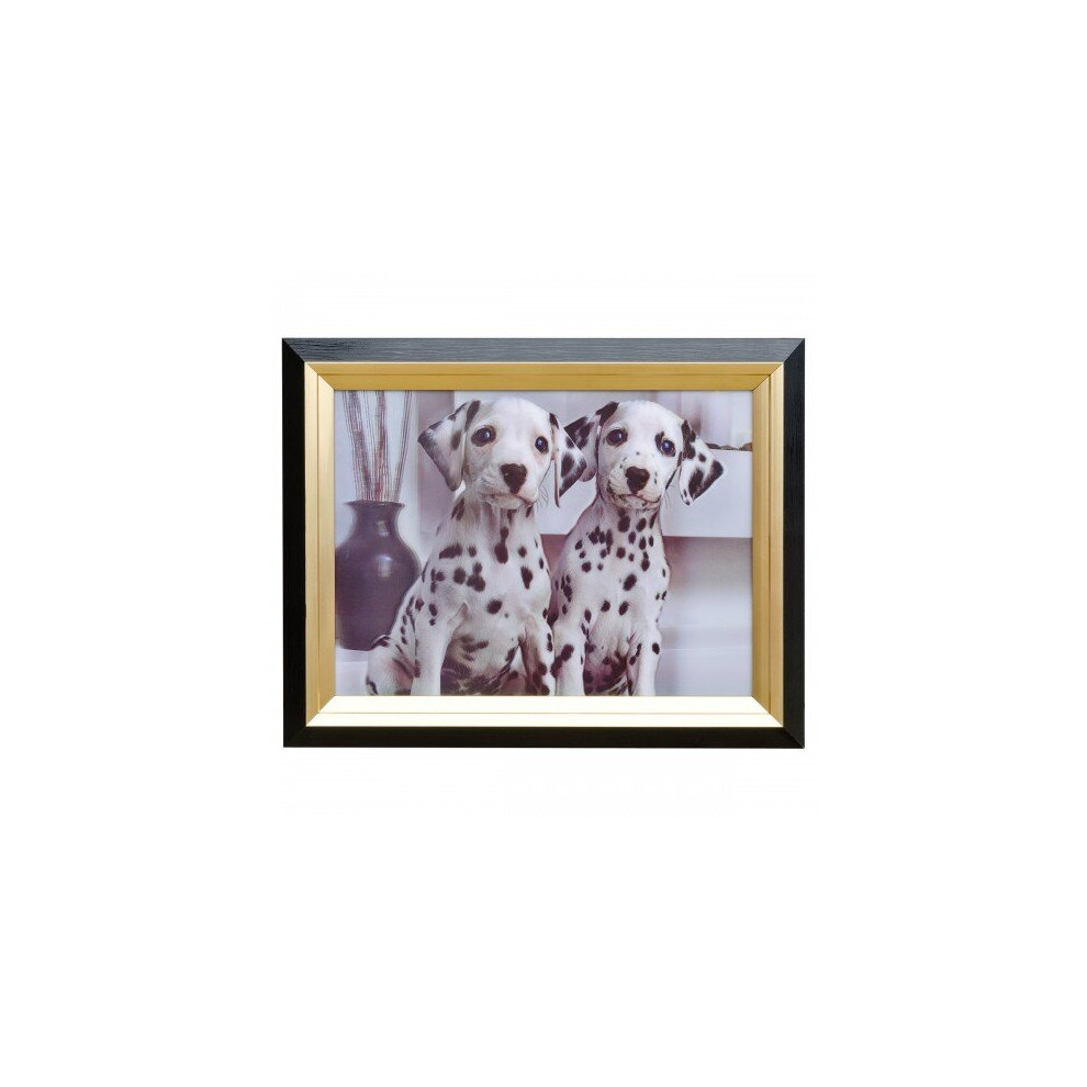 Dalmations Hologram Framed Picture - MP159-image-OPC-P9HZNND-NEW