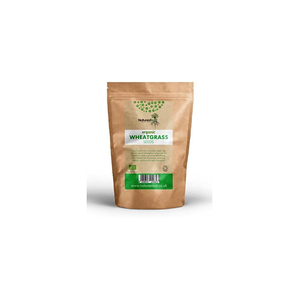 Natures Root Organic Wheatgrass Sprouting Seeds 1Kg - Superfood | Non Gmo | Microgreen Sprouts | Garden Planting | Wheat Grass Juicing | Cat Grass