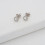 Ted Baker Ted Baker Sinaa Crystal Stud Earrings - Silver or Rose Gold Tone Options 5