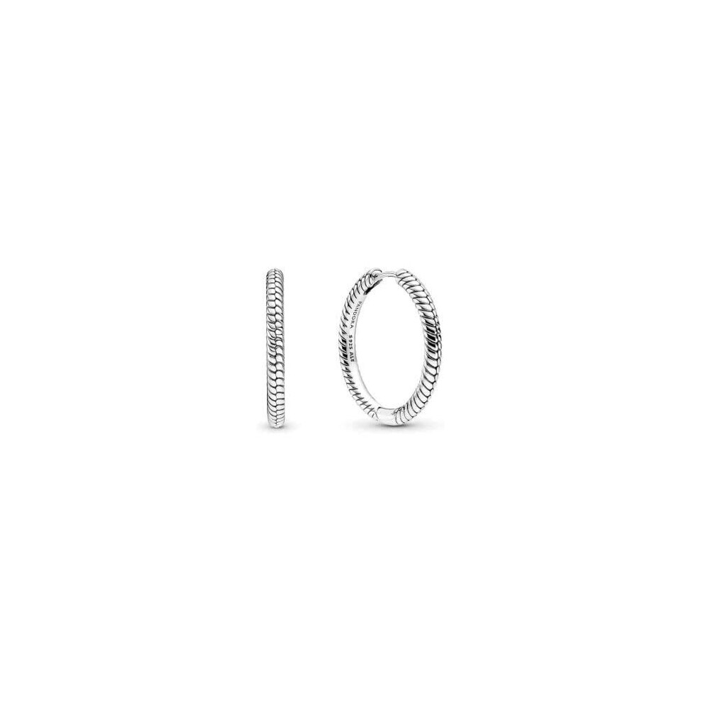 Pendientes Pandora Moments 299532C00 aro charm