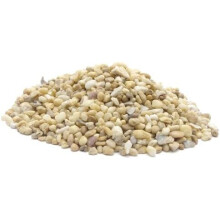 Marina Decorative Aquarium Gravel Natural Desert Pebble, Beige, 2-4 mm, 10 Kg