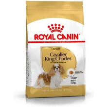 Royal Canin Cavalier King Charles Adult Dry Dog Food 7.5kg - Breed-Specific Nutrition for Cavaliers