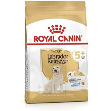 ROYAL CANIN Labrador Retriever Adult 5+ Dry Dog Food - 12kg